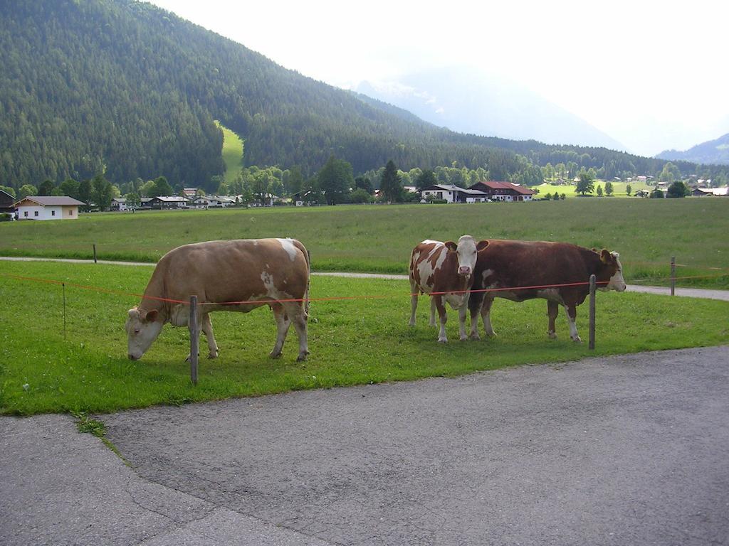 Gaestehaus Bodnerlehen Hotel Schönau am Königssee Szoba fotó
